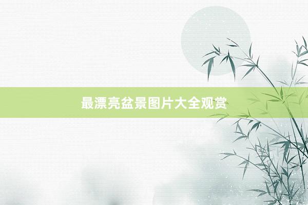 最漂亮盆景图片大全观赏